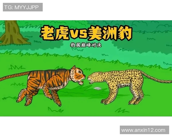 老虎大学与墨西哥美洲的激烈对决精彩回顾与分析